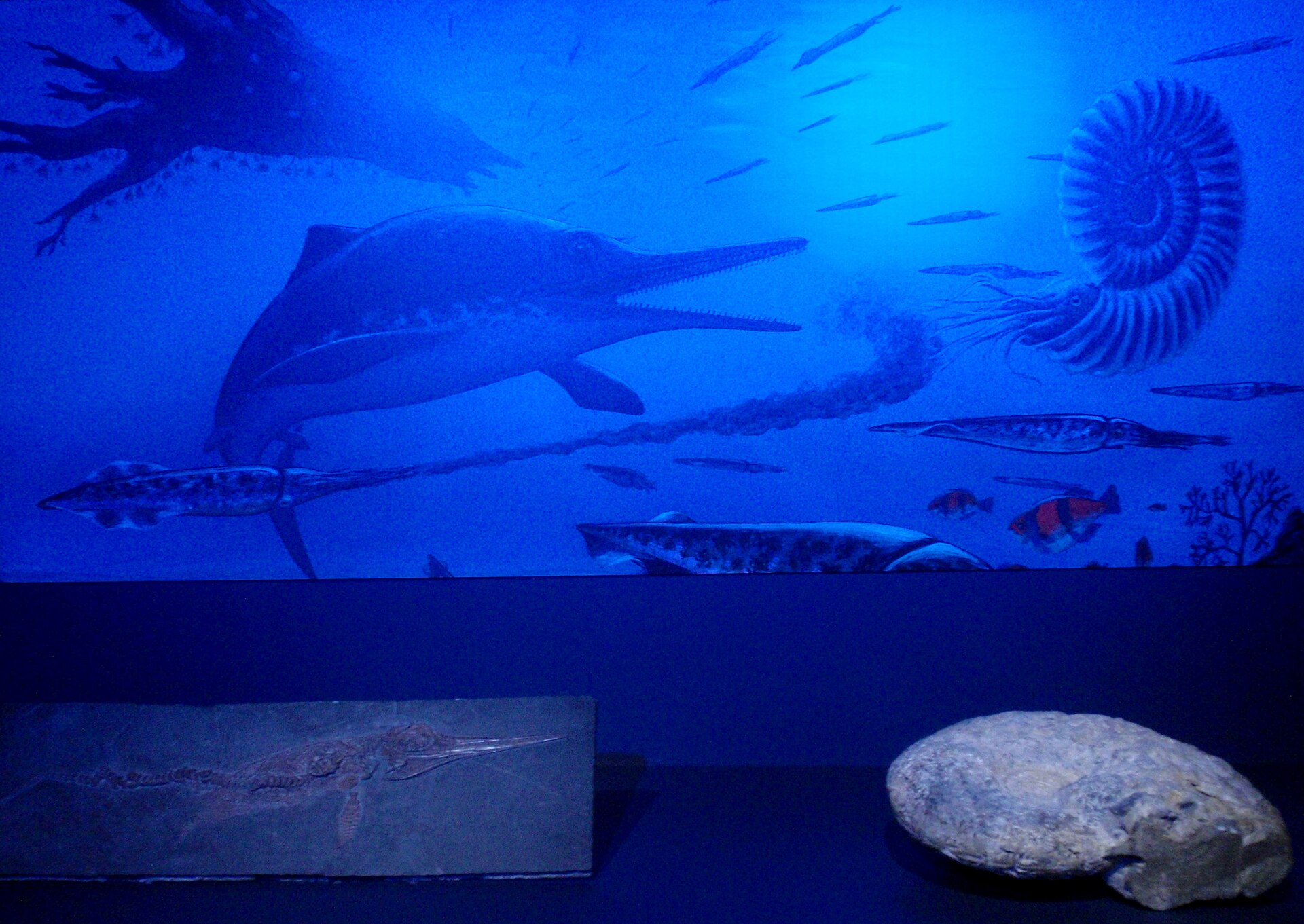 Sala de exposiciones del Museo Elder de la Ciencia y la Tecnología, Las Palmas de Gran Canaria